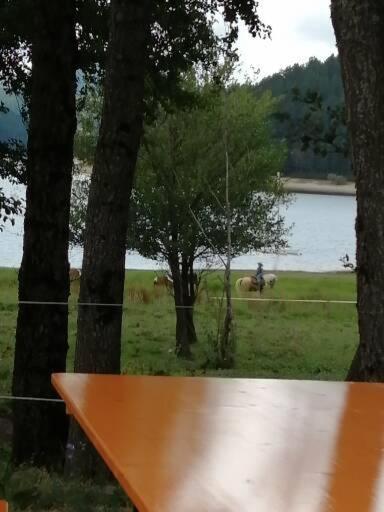 Mare O Montagna Daire Cosenza Dış mekan fotoğraf